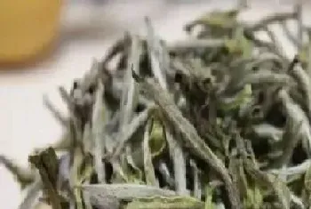 安吉白茶类属于什么茶?