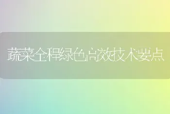 蔬菜全程绿色高效技术要点