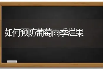 如何预防葡萄雨季烂果