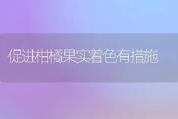 促进柑橘果实着色有措施