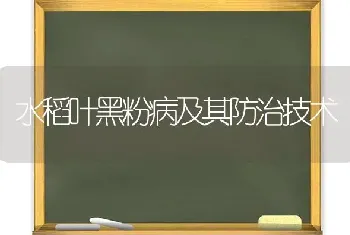 水稻叶黑粉病及其防治技术