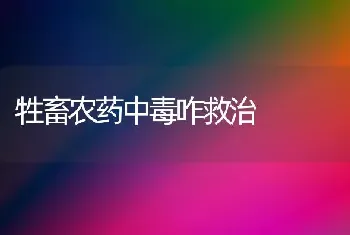 牲畜农药中毒咋救治