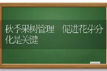 秋季果树管理 促进花芽分化是关键