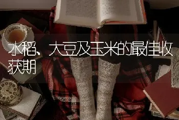 水稻、大豆及玉米的最佳收获期