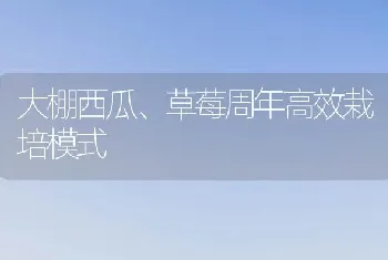 大棚西瓜、草莓周年高效栽培模式