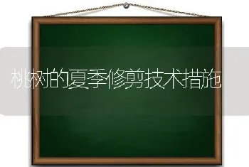 桃树的夏季修剪技术措施