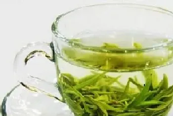 武当道茶属于什么茶?