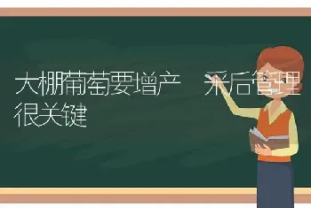 大棚葡萄要增产 采后管理很关键