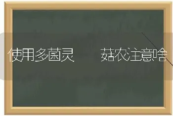 使用多菌灵  菇农注意啥