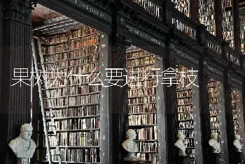 果树为什么要进行拿枝