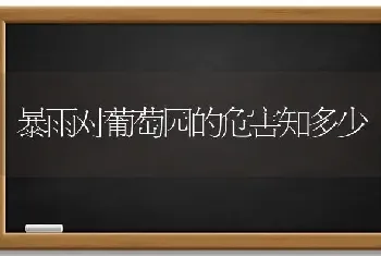 暴雨对葡萄园的危害知多少