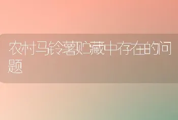 农村马铃薯贮藏中存在的问题