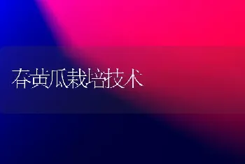 春黄瓜栽培技术