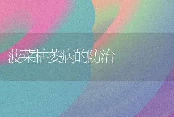 菠菜枯萎病的防治