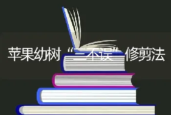 苹果幼树“三不误”修剪法