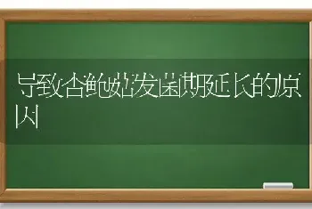 导致杏鲍菇发菌期延长的原因