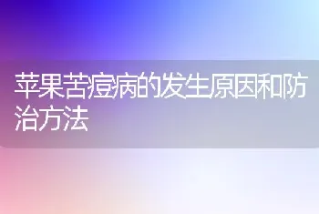 苹果苦痘病的发生原因和防治方法