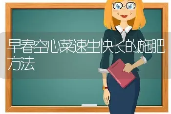 早春空心菜速生快长的施肥方法