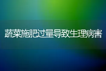 蔬菜施肥过量导致生理病害