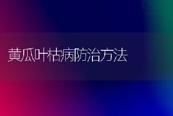 黄瓜叶枯病防治方法