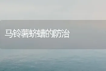 马铃薯蛴螬的防治