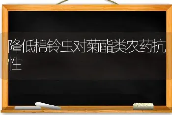 降低棉铃虫对菊酯类农药抗性