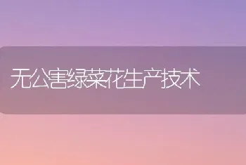 无公害绿菜花生产技术