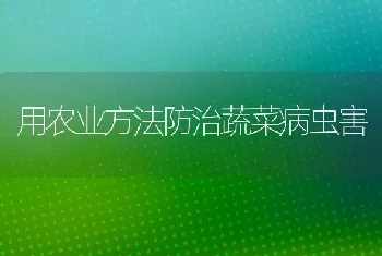 用农业方法防治蔬菜病虫害