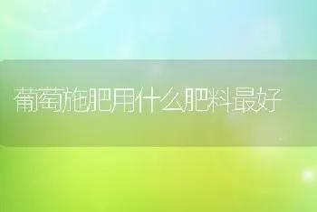 葡萄施肥用什么肥料最好