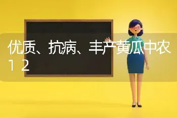 优质、抗病、丰产黄瓜中农12