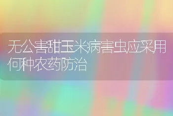 无公害甜玉米病害虫应采用何种农药防治