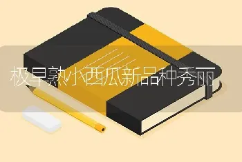 极早熟小西瓜新品种秀丽