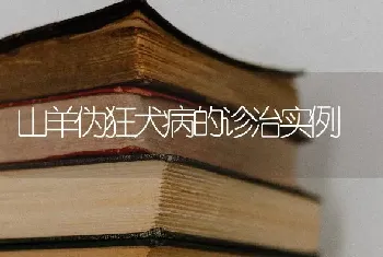 山羊伪狂犬病的诊治实例