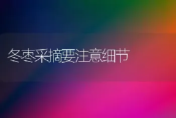 大白菜烂心怎么回事