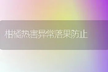 柑橘热害异常落果防止