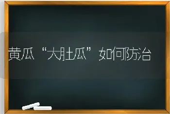 黄瓜“大肚瓜”如何防治