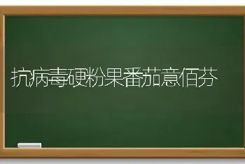 抗病毒硬粉果番茄意佰芬