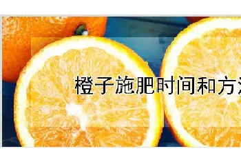 橙子施肥时间和方法