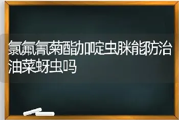 氯氟氰菊酯加啶虫脒能防治油菜蚜虫吗