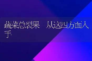 蔬菜总裂果 从这四方面入手