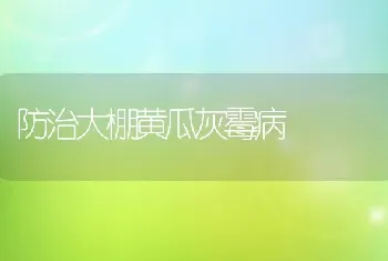 防治大棚黄瓜灰霉病