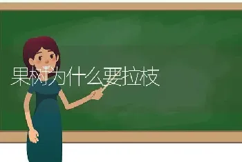 果树为什么要拉枝