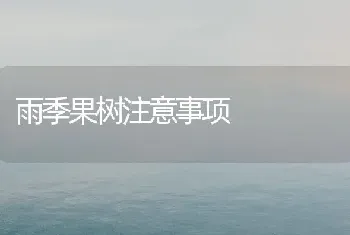 雨季果树注意事项