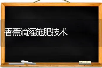 香蕉滴灌施肥技术