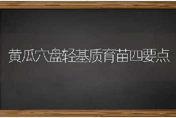 黄瓜穴盘轻基质育苗四要点