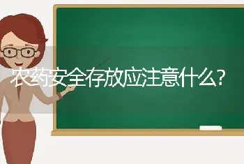 农药安全存放应注意什么?