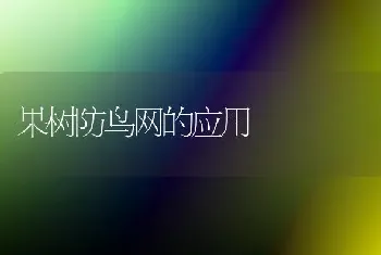 果树防鸟网的应用