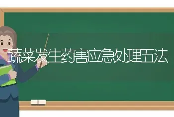 蔬菜发生药害应急处理五法