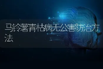 马铃薯青枯病无公害防治方法