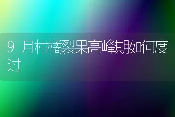 9月柑橘裂果高峰期如何度过